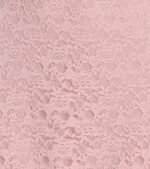 Ray Of Romance A-Line Lace Mini Dress - Image 4