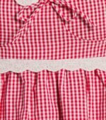 Life's A Picnic Sweetheart Lace Gingham Mini Dress - Image 6